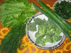 Broccoli in Russian cuisine, vegetables recipes
